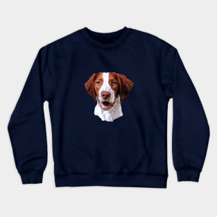 Brittany Spaniel Looking Gorgeous Crewneck Sweatshirt